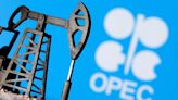 OPEC expected to stick to view of long-term oil demand rise