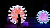 FILE PHOTO: The "Mini-Mondes en voie d'illumination" exhibition at the Jardin des Plantes in Paris