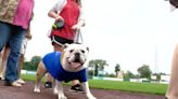 Syracuse Mets invite furry fans for Bark in the Park event at NBT Bank Stadium