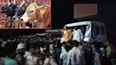 MP Cow Slaughter: Hindu Protestors Block Road After Cow Meat Found At House In Morena (WATCH)