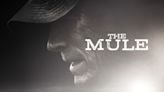 The Mule Streaming: Watch & Stream Online via Netflix