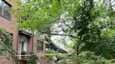 Weather service surveys central Alabama storm damage