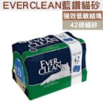 EVERCLEAN藍鑽貓砂 藍標 強效低敏結塊貓砂 42磅貓砂 (約19公斤)