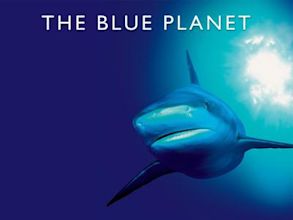 The Blue Planet