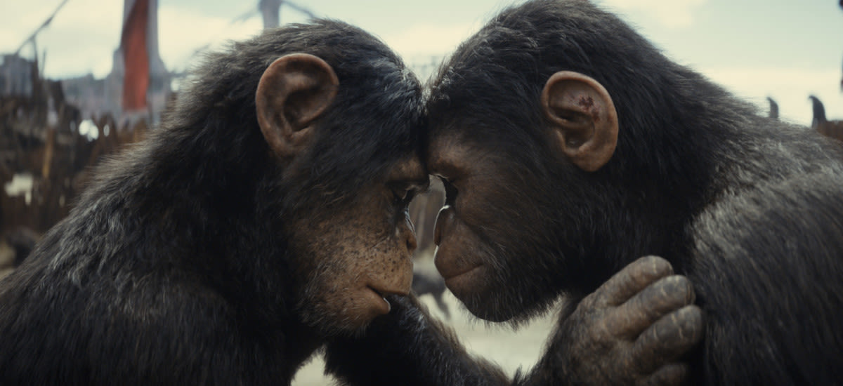 Kingdom of the Planet of the Apes First Reactions: “Phenomenal”, “Astonishing” and “Very Entertaining”