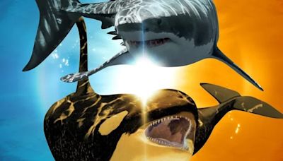 Killer Shark vs. Killer Whale Streaming: Watch & Stream Online via Disney Plus