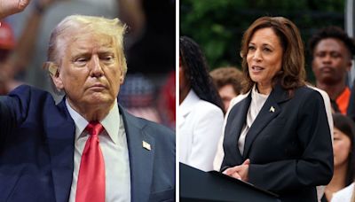 Donald Trump califica a Kamala Harris de 'tonta y viciosa'