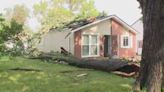 Latest strong storm round leave trail of damage in Metro Detroit