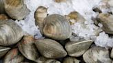 ¿Te gustan los mariscos? La FDA alerta de posible contaminación con toxina paralizante: el Dr. Juan explica