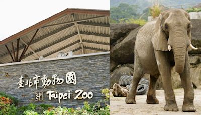 臺北市立動物園4/1起要漲價了！普通票60元 ⭢100元「網全力挺」，一種票凍漲揪甘心