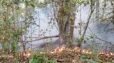 Atienden brigadistas cuatro incendios en Los Chimalapas, Oaxaca