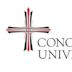 Universidad Concordia