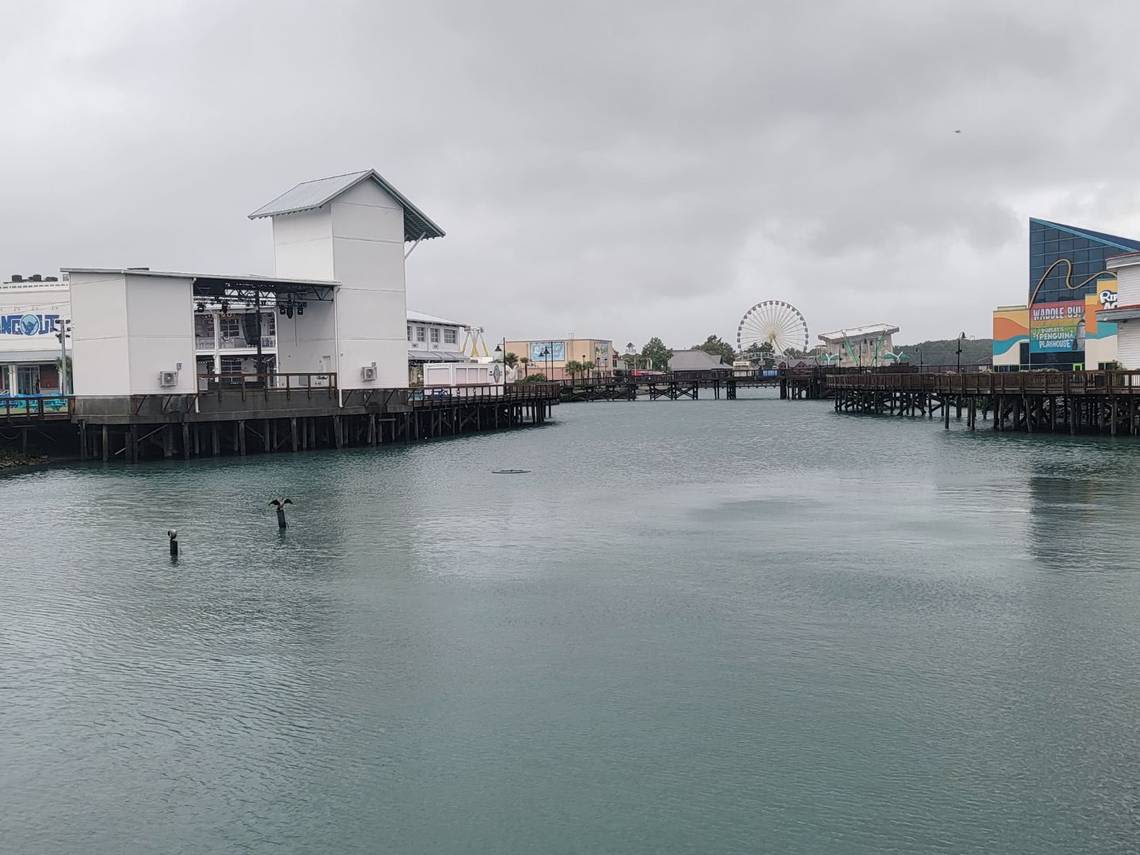 Is Tropical Storm Debby closing Broadway at the Beach or Barefoot Landing? What to know