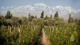 Trivento: The Certified B Corp Winery Using Its Revolutionary White Malbec To Change Lives