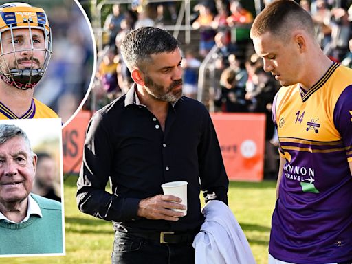 Shane Long and Willie Mullins among stars at Hurling for Cancer charity match