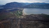 20 homes affected in flash flooding west of Kamloops, B.C.: emergency officials