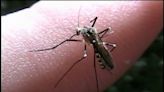 West Nile virus found in 13 Illinois counties