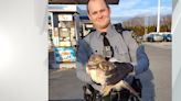 Pennsylvania State Police Troopers rescue red-tailed hawk in Cumberland County