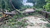 Memorial Park asks visitors to stay away as crews clear downed trees (unlocked) - Houston Business Journal