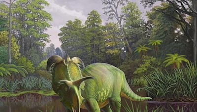 Cuernos jamás vistos: hallan un nuevo dinosaurio de hace 78 millones de años y lo bautizan en honor a un personaje de cómic