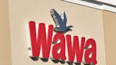 When will Vineland's newest Wawa open?