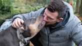 Ben Spencer: Why I’m campaigning on behalf of XL Bully dogs