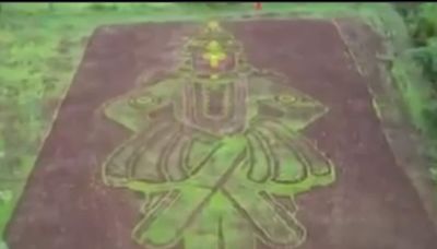 Watch: Pune Farmer Creates Majestic Portrait Of Lord Vithal Using Paddy Plantations - News18