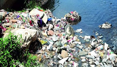 Kothanur Lake’s beauty fades; locals seek action