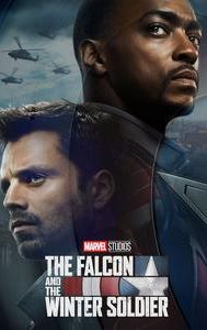 The Falcon and the Winter Soldier