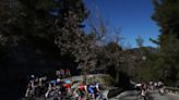 Chase group at Paris-Nice avoids downhill collision with car