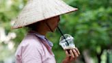 越南咖啡豆國際價格飆高 榴槤竟是罪魁禍首之一