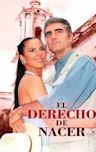 El derecho de nacer (2001 TV series)