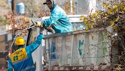 Nuevo cronograma de tareas de arbolado y limpieza en la Ciudad | Sociedad