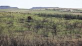 Three months after the Texas’ largest wildfire, Panhandle residents are preparing for the next one