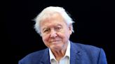 David Attenborough kept away from chicks during filming due to avian flu risk