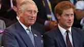 King Charles Reportedly “Too Busy” To Meet With Prince Harry