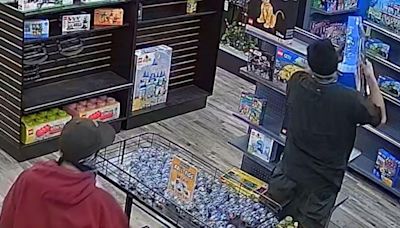 Shoplifters love Lego. The colorful plastic toy bricks are a goldmine for criminals