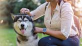 Dog owners say this product cuts weekly brush time 'in half' -- and it's on sale right now