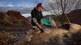 “Ya nadie quiere venir”. La sacrificada aventura de los últimos buscadores de oro de la California argentina