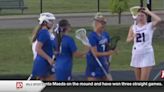 Haslett-Williamston girls lacrosse has season end in the state semifinals