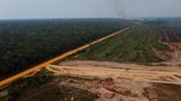 US seeks to sanction criminals behind surging deforestation in Amazon rainforest
