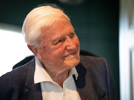 Brand new portrait of national treasure Sir David Attenborough unveiled