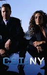 CSI: NY - Season 1