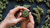 7 Cannabis Stocks to Buy for a Smoking-Hot 2024