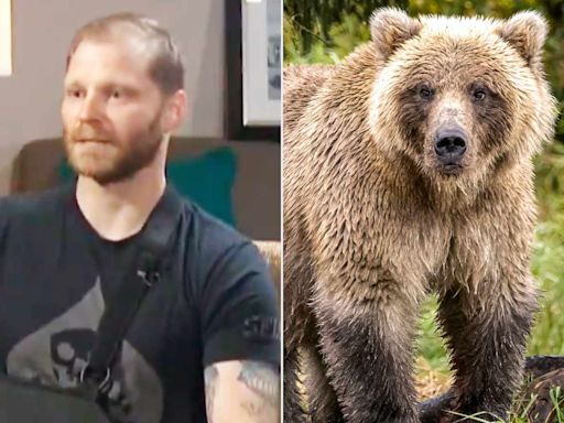 Veteran Was Attacked by Protective Grizzly Bear Defending Her Cub — Here’s What He Did to Survive