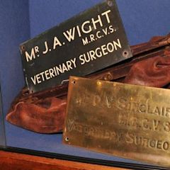 Donald Sinclair (veterinary surgeon)