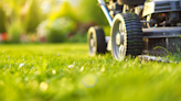 Lawn pro reveals how to get your grass green for summer, but you must start now