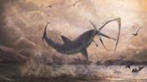 Fearsome Sharks of Today Evolved When Ancient Oceans Got Hot