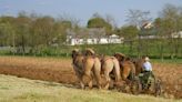 Experts explain complicated relationship between Amish communities and the environment: ‘It really isn’t [idyllic] at all’