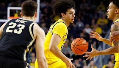 Michigan basketball guard withdraws from transfer portal